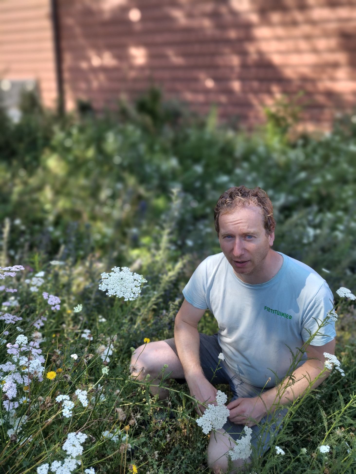 Waarom ecologisch tuinonderhoud?